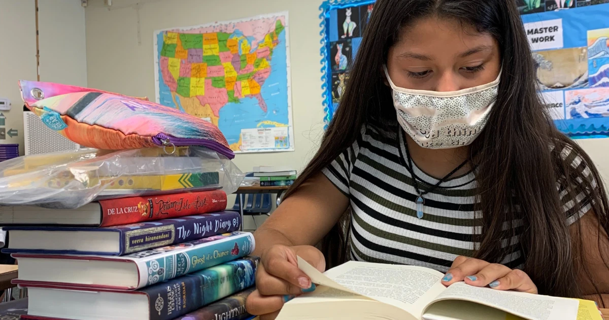 Brave Journeys: Free Resource for Teachers and Counselors