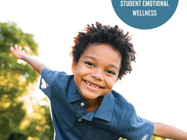 Healthy Habits for Student Emotional Wellness