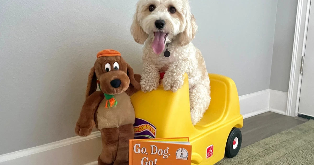 Dog Days of Summer: The Ultimutt Book List